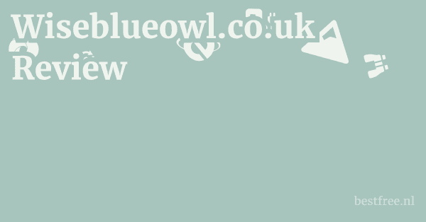 Wiseblueowl.co.uk Review 1 by BestFREE.nl