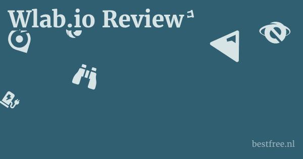 Wlab.io Review 1 by BestFREE.nl