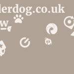 Wonderdog.co.uk Review 5 by BestFREE.nl