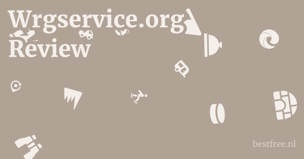 Wrgservice.org Review 1 by BestFREE.nl