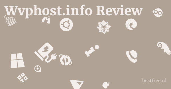 Wvphost.info Review 1 by BestFREE.nl
