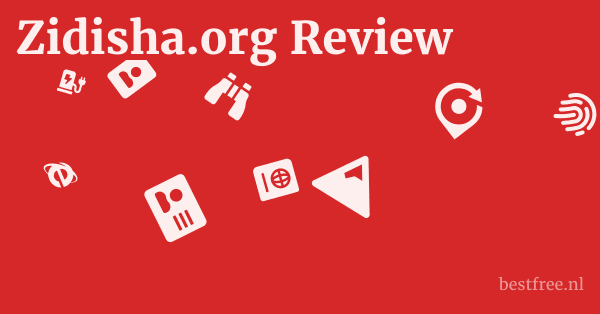 Zidisha.org Review 1 by BestFREE.nl