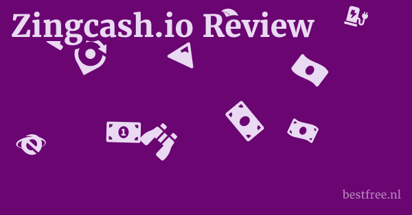 Zingcash.io Review 1 by BestFREE.nl