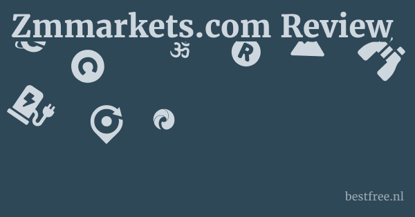 Zmmarkets.com Review 1 by BestFREE.nl