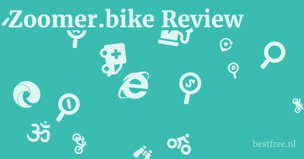Zoomer.bike Review 1 by BestFREE.nl